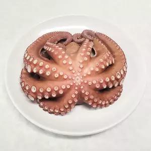 참맛나는 산지직송 국내산 제수용 활 돌문어 1kg (1미)