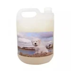 [체리쉬]고품질 체리쉬 약용샴푸 (이.벼룩방지) 4L (강아지 샴푸) 강아지 약...