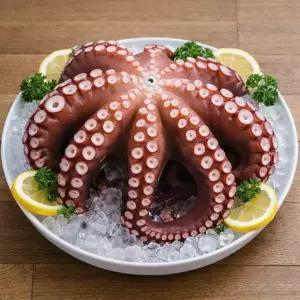 참맛나는 국내산 제수용 활 돌문어 2kg (1미)