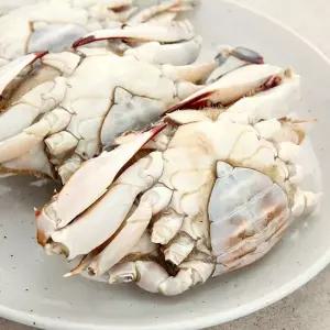 [NS홈쇼핑][오초록] 3대가 이어온 연평도 봄 암꽃게 몽당(알배기) 1kg / 4~6미 / 급냉..[35092623]