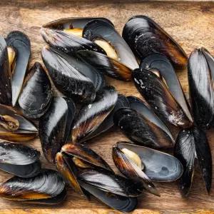 국내산 홍합 3kg