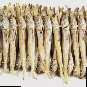 노가리 안주 (햇) 100마리 말린 건조