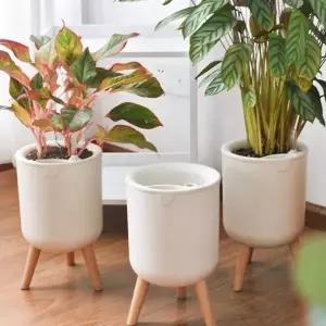 실내 인테리어 화분 다육식물 탁상 거실 베란다 장식용