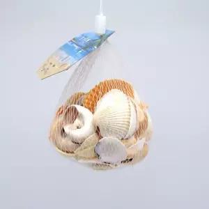 조개껍질 조개껍데기 만들기조개 조개껍질모음