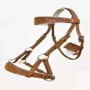 브로우밴드와 코밴드 타원형에 디자이너 손 조각이 있는 놀라운 말 소품 사이드풀 비트리스 브리들