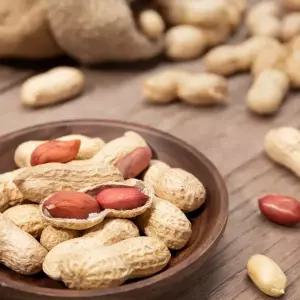 굿모닝너츠 피땅콩 1봉/총500g내외