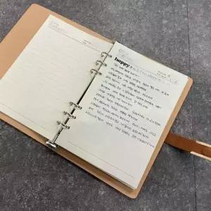 데일리 FW420625 6공 A5 만년 다이어리 노트 브라운