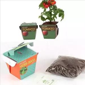 키우기 홈 가드닝 세트 재배 미니 화분 세트 토마토 텃밭