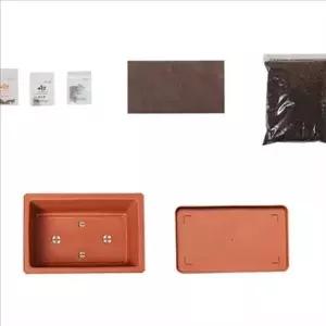 초보자용 상추 텃밭 세트 미니 텃밭 가꾸기 세트 가정용 베란다