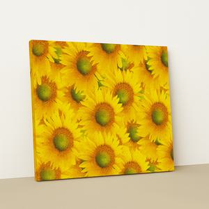 26면 비즈 보석십자수 액자형 40*50cm 캔버스형 쥬얼리아트 큐빅 구슬 AB비즈 크리스탈 사각 프리미엄 취미 집콕 키트 행운 재물 명화 선물 고양이 나비 고흐 에펠탑 벚꽃 부엉이 금전수 고래 야경