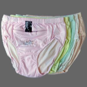 여권 지퍼팬티 5장/빅사이즈/속옷/여자/여성/주머니팬티