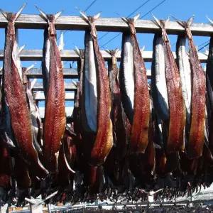 [완전손질] 구룡포 청어과메기 8미(16쪽) / 야채없음