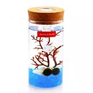 마리모병 마리모 키우기 led 유리병 수경식물