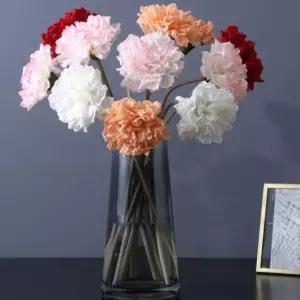 가정의달 생화같은 카네이션 어버이날 스승의날 시들 (WFHNZ2Q)