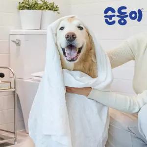 순둥이 빅엠보 펫타월 특대형 10매 1팩 /대형견 사이즈 일회용 강아지 고양이 수건