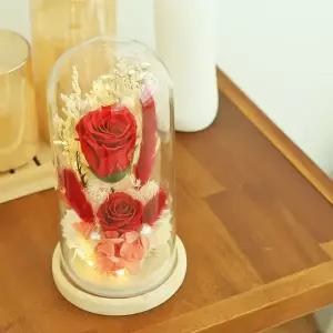 장미 2송이 무드등 레드 WFHPNPV