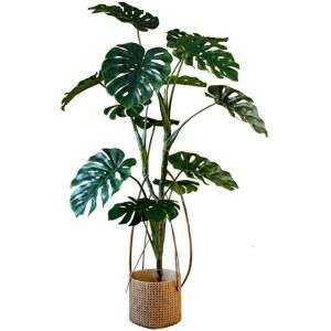 단풍나무 몬스 조경 바구니 18잎 몬테스라 식물 업그 70CM 인테리어 사무실 90CM