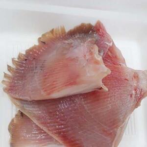 장수웰빙 목포 가오리날개살600g