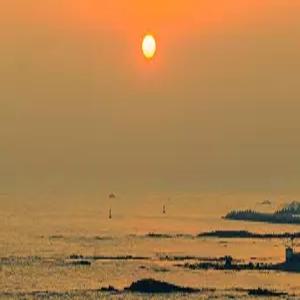 [경북 펜션] 포항 제주인포항카라반 (포항,남구(시청,시외버스터미널,구룡포,쌍사,문덕,오천,송도))