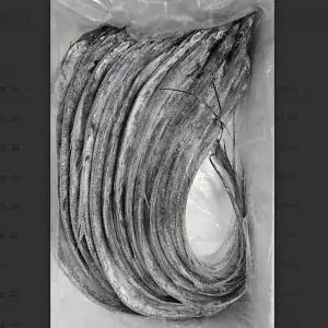 국내산 생물 갈치 3kg 13미