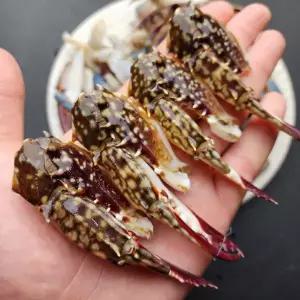 국산 육수용 꽃게다리 500g