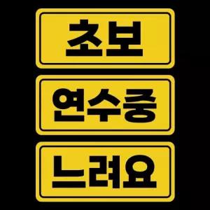 스몰 자국안남는 자석 초보운전스티커 도로주행 연수