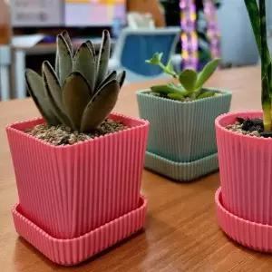 P1 분갈이 플라스틱 빈화분 미니 플분 핑크 사각