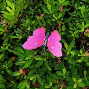 정원 나비장식 화분 말뚝 야외 가든 나비 (WFKAZZZ)