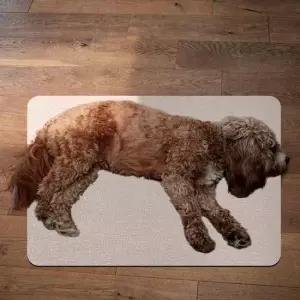 애완동물 알루미늄 패드 XL 쿨매트 쿨방석 아이스매트 여름매트 소동물