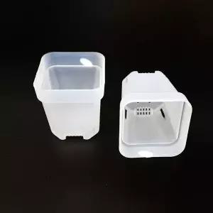 반투명 플라스틱 사각 삽목 유목 슬릿분 미니화분