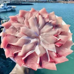 마라도 방어회 마라도 대방어 돌담프룻 자연산 필렛 제주