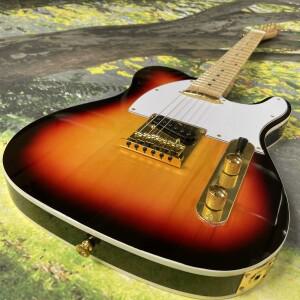 TL 일렉트릭 기타 - 6현 메이플 지판 - 실버 하드웨어 기타