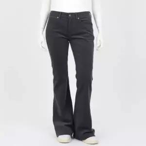 [셀린느]MARCO JEANS IN CORDUROY 2N06B781X 02OY 코듀로이 마르코 진 816610