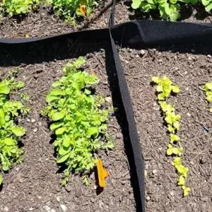 [콩심팥심]부직포 화분 텃밭 미니 4분할 60x60