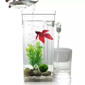 금붕어 키우기 해수어 베타 물멍 어항 자동 구피 청소