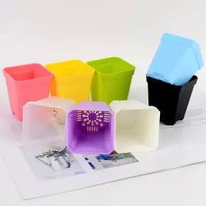 인테리어 미니식물 미니 컬러 사각플라스틱화분(소)