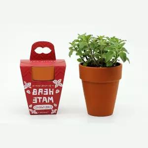 5인세트 반려식물 오레가노 허브키우기 식물화분DIY 미니텃밭 식물키트