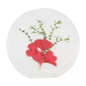 4인세트 초등 돌봄교실 생태체험학습 식물표본 부채액자만들기 사고력 관찰