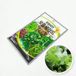 실내화분 모듬 채소 쌈 씨앗 종자 홈가드닝 원예 WFHJ7JG