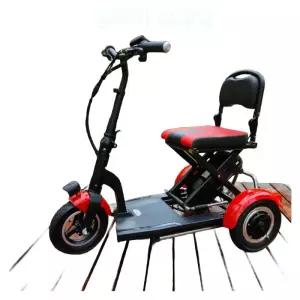 세발 전기스쿠터 차 삼륜 스쿠터 농업용 어르신 전동 배터리 노인 전기 운반차