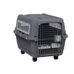 대형견 이동장 중형견 켄넬 매직도어 바퀴달린 가벼운