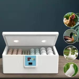 소형 자동 미니 인큐베이터 가정용 스마트 물침대 닭알 부화기