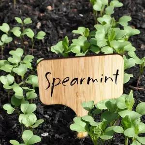 허브 네임택 꽃이름표 이름표 텃밭 화분 식물 텃밭 넝