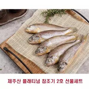 제주 참조기 대 12마리