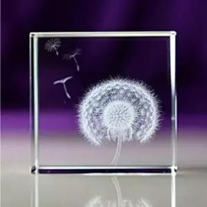 탁상용 민들레 꽃씨들은 유리큐브