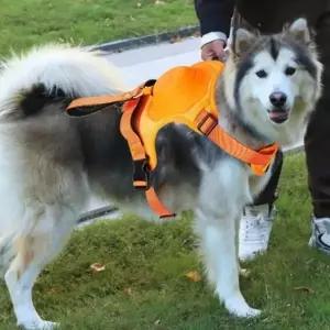대형견 중형견 강아지 가슴줄 하네스 애견 반려견 목줄 큰개 산책 야외활동 운동 견주 편리한