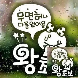 자동차 반사 스티커 초보운전 표지 무면허 왕초보 차량 안전 안내 (WFKKYQJ)