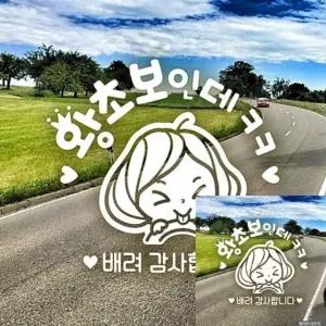 자동차 초보운전 스티커 화이트 차량 안전 왕초보 안내 (WFKKVYK)