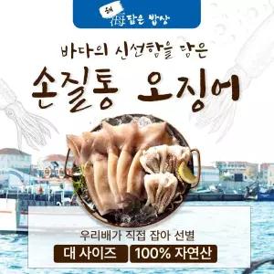 [해담은밥상] 손질통오징어 130g × 18미 (1팩/2미)