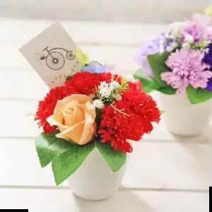 비누카네이션 나비 비누꽃 카네이션 화분 레드 어버이날